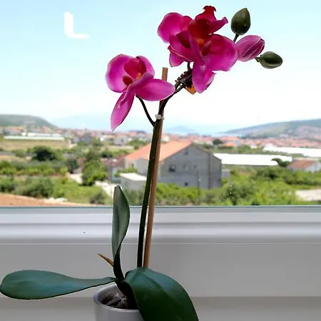 Apartmán Carmen *